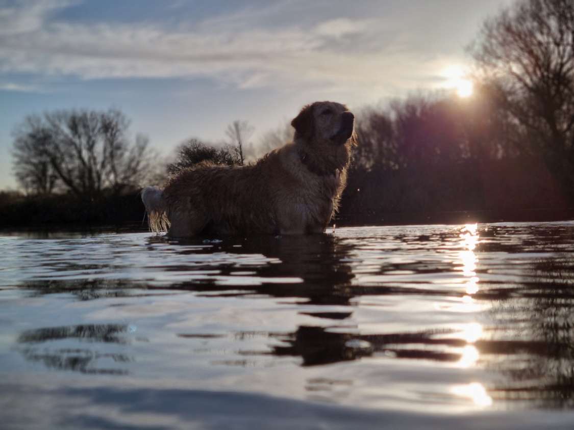 Careers Avocado Moment